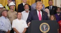 Die Chancen, dass Donald Trump als Präsident mit der größten Wahrheitsliebe und Faktentreue in die US-Geschichte eingeht, sind eher gering.