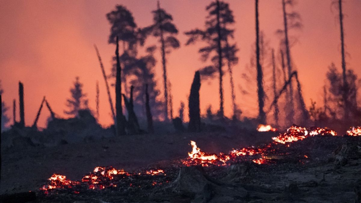 Wegen des Waldbrands im Landkreis Saalfeld-Rudolstadt wurde Katastrophenalarm ausgelöst. Wegen des Waldbrands im Landkreis Saalfeld-Rudolstadt wurde Katastrophenalarm ausgelöst. (Foto)