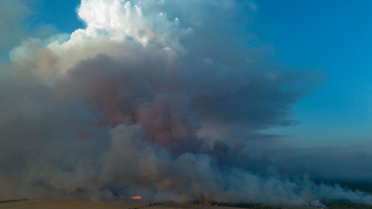 #Waldbrände in Deutschland up to date: Katastrophenalarm in welcher Gohrischheide wird nachdem Waldbrand aufgehoben