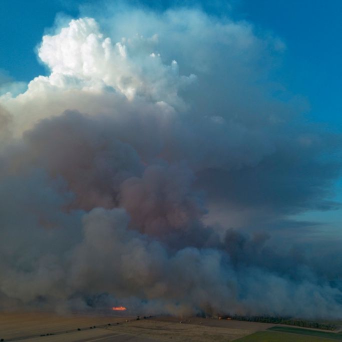 Katastrophenalarm in der Gohrischheide wird nach Waldbrand aufgehoben