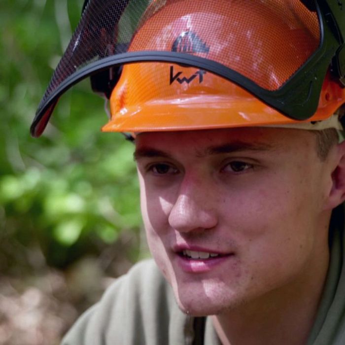 Wiederholung der Gesellschaft im TV und online