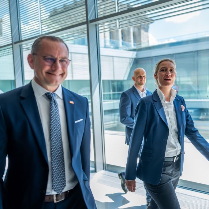 Das steckt hinter dem AfD-Kuschelkurs mit dem BSW