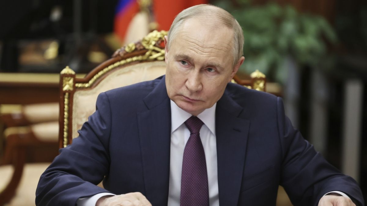 Wladimir Putin: Armee präsentiert klappriges Holz-Gefährt als "Innovation" - Witz oder tragische Realität? Wladimir Putin: Armee präsentiert klappriges Holz-Gefährt als "Innovation" - Witz oder tragische Realität? (Foto)