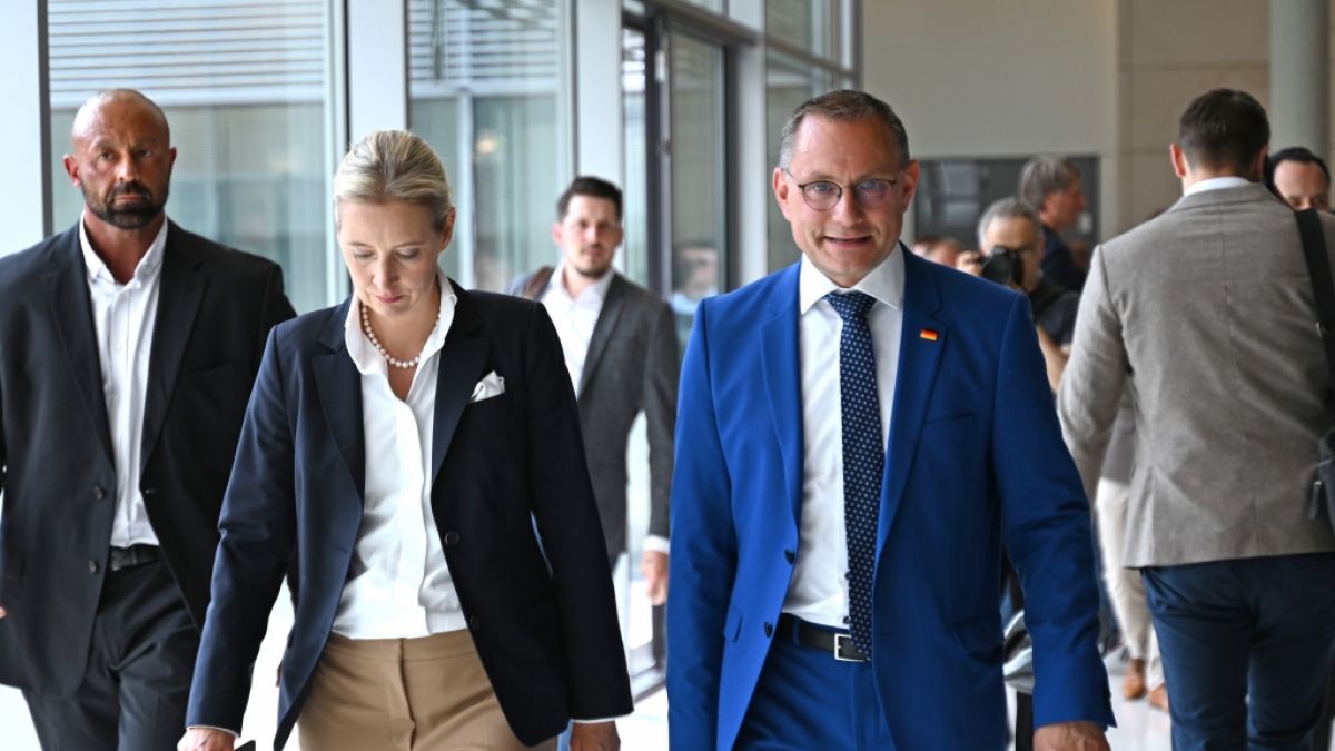 Alternative für Deutschland: Will salonfähig wirken pöbelt aber