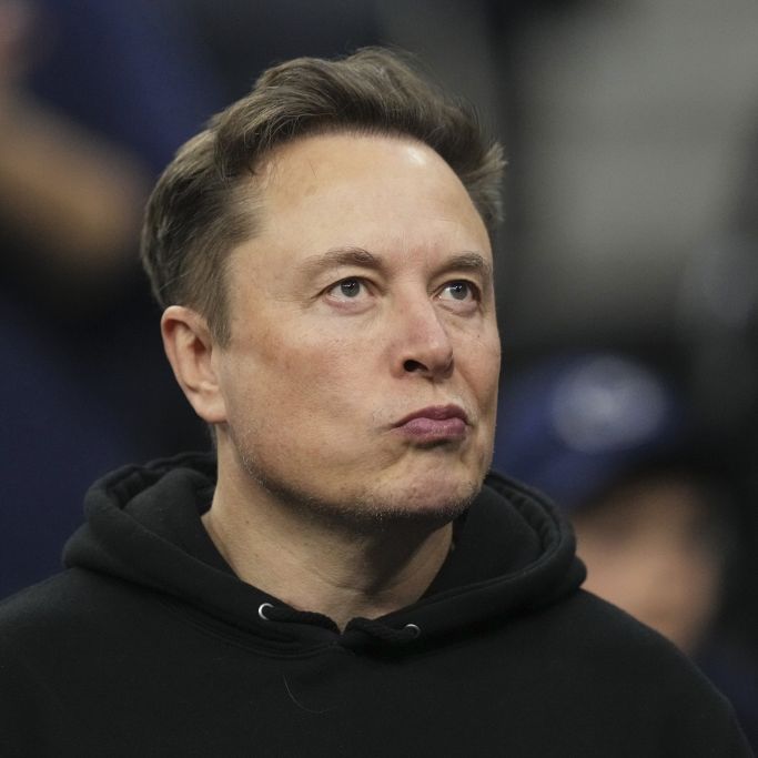 Hat Elon Musk mit seinem Partei-Plan seinen Untergang besiegelt?