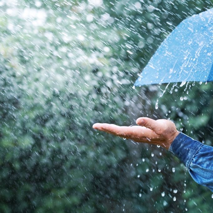 Wetterdienst warnt vor Starkregen - bis zu 50 Liter pro Quadratmeter