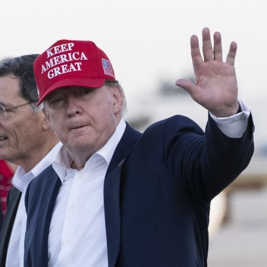 Sie verbrennen ihre Trump-Basecaps - Maga-Fans sind wütend