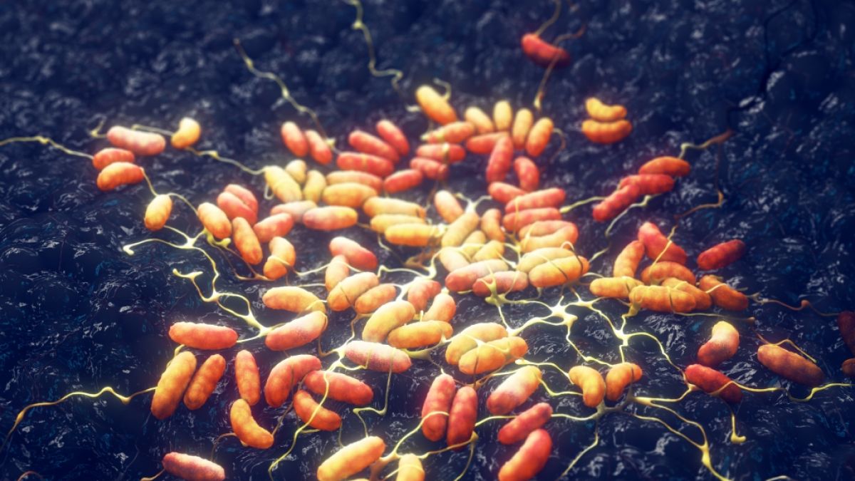 #Pest-Tod in den USA: Mann intrinsisch eines Tages nachdem gefährlicher Bakterien-Infektion gestorben