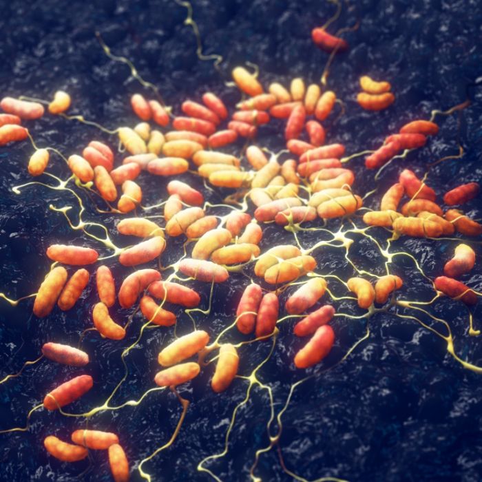 Mann innerhalb eines Tages nach gefährlicher Bakterien-Infektion gestorben