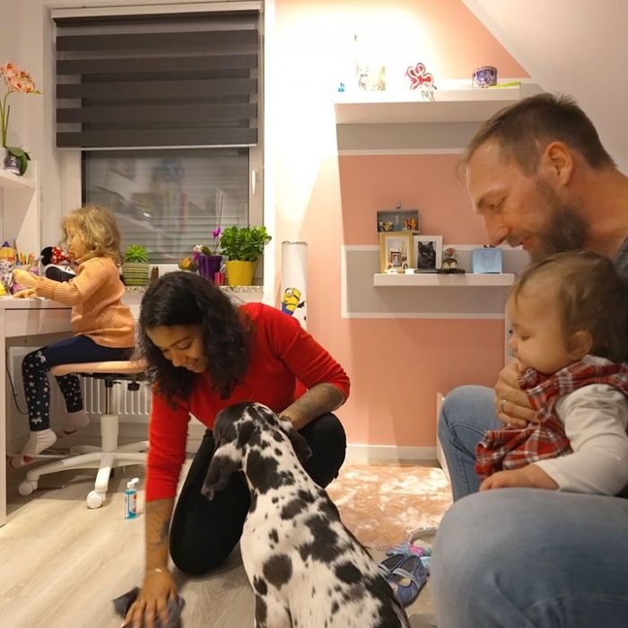 Wiederholung des Hundetrainings online und im TV