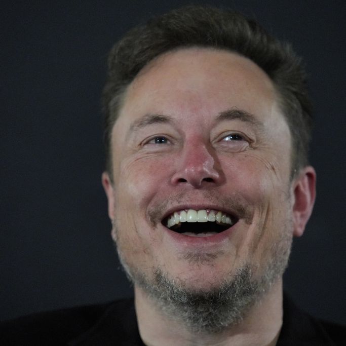 Tech-Milliardär als Systemsprenger? Experten schlagen Alarm wegen Musk-Partei