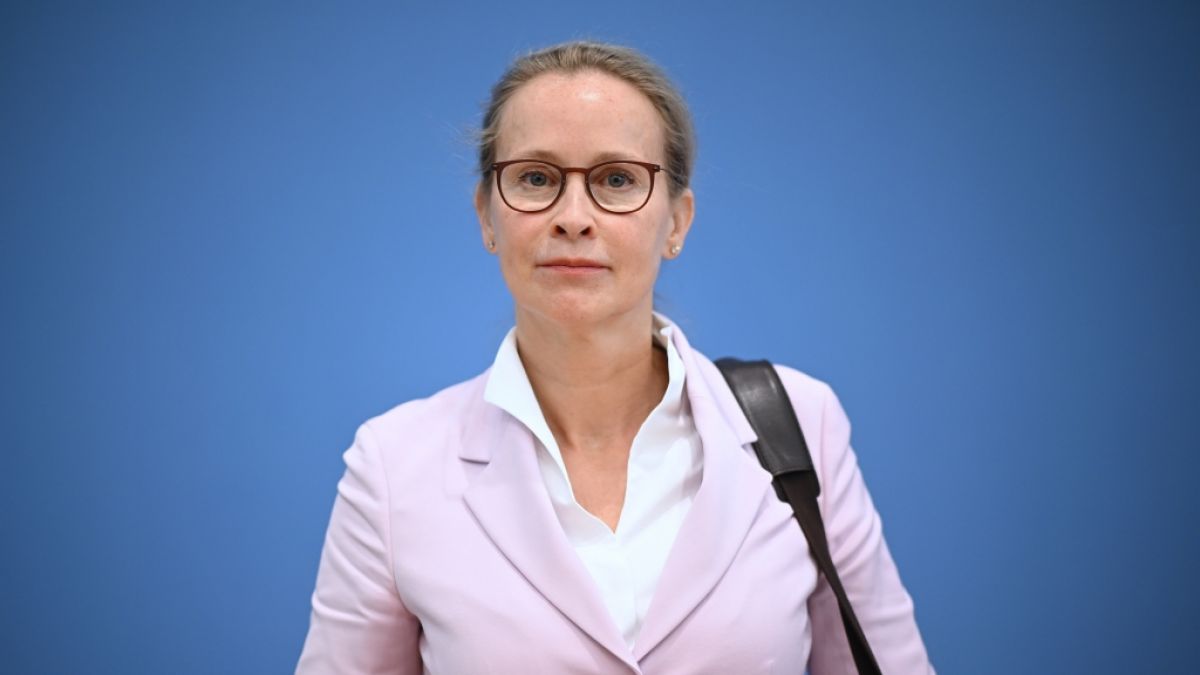 Die Wahl von Frauke Brosius-Gersdorf zur Bundesverfassungsrichterin ist zunächst gescheitert. (Foto)