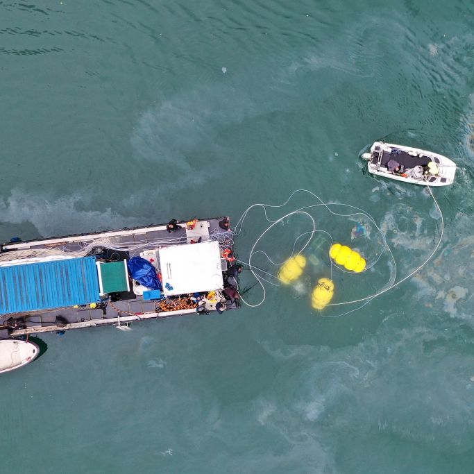 Unfall mit Boot in der Elbe