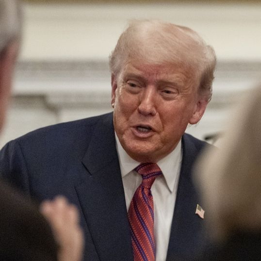 Donald Trump regiert seit Januar 2025 in seiner zweiten Amtszeit als US-Präsident.