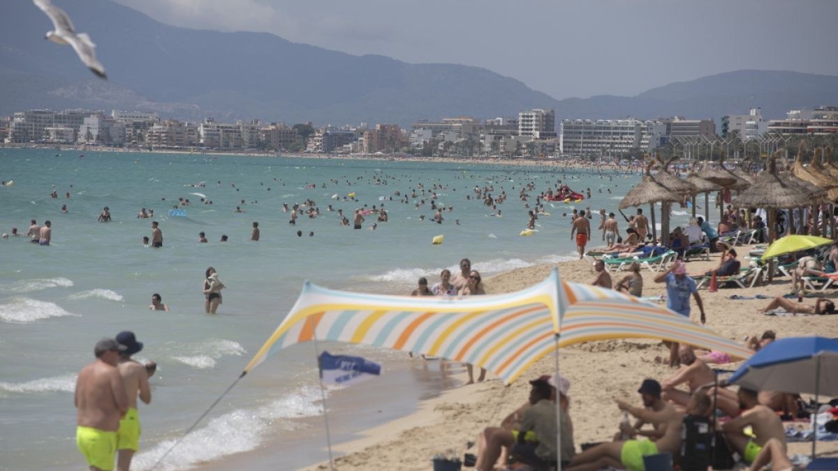 Auf Mallorca wurde eine Urlauberin beim Baden im Meer gebissen. Ein Hai scheint es nicht gewesen zu sein. (Foto)