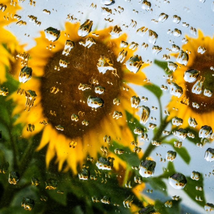 Omega-Hoch blockiert Hitze - Deutschland steckt im 