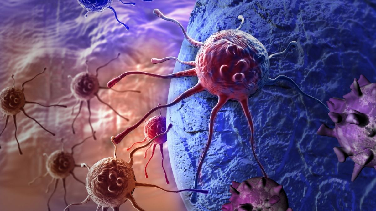 Eine neue Studie zeigt: Atemwegserkrankungen wie Covid-19 und Influenza könnten schlafende Krebszellen wieder aufwecken. Eine neue Studie zeigt: Atemwegserkrankungen wie Covid-19 und Influenza könnten schlafende Krebszellen wieder aufwecken. (Foto)