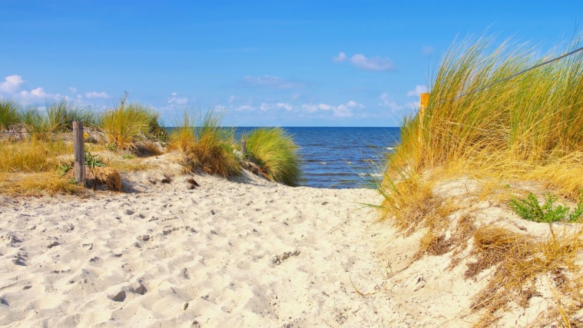Mecklenburg-Vorpommern meldet den ersten Toten durch eine Infektionen mit Vibrionen. Die Bakterien lauern in der Ostsee und können bei Risikogruppen unter anderem zu Organversagen führen (Symbolbild). (Foto)