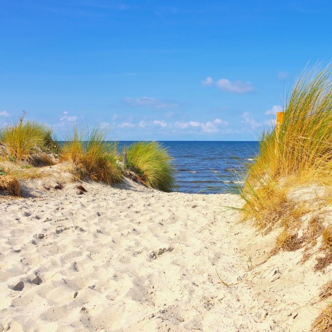 Nach Ostsee-Bad: Mann (68) stirbt durch gefährliche Keim-Infektion