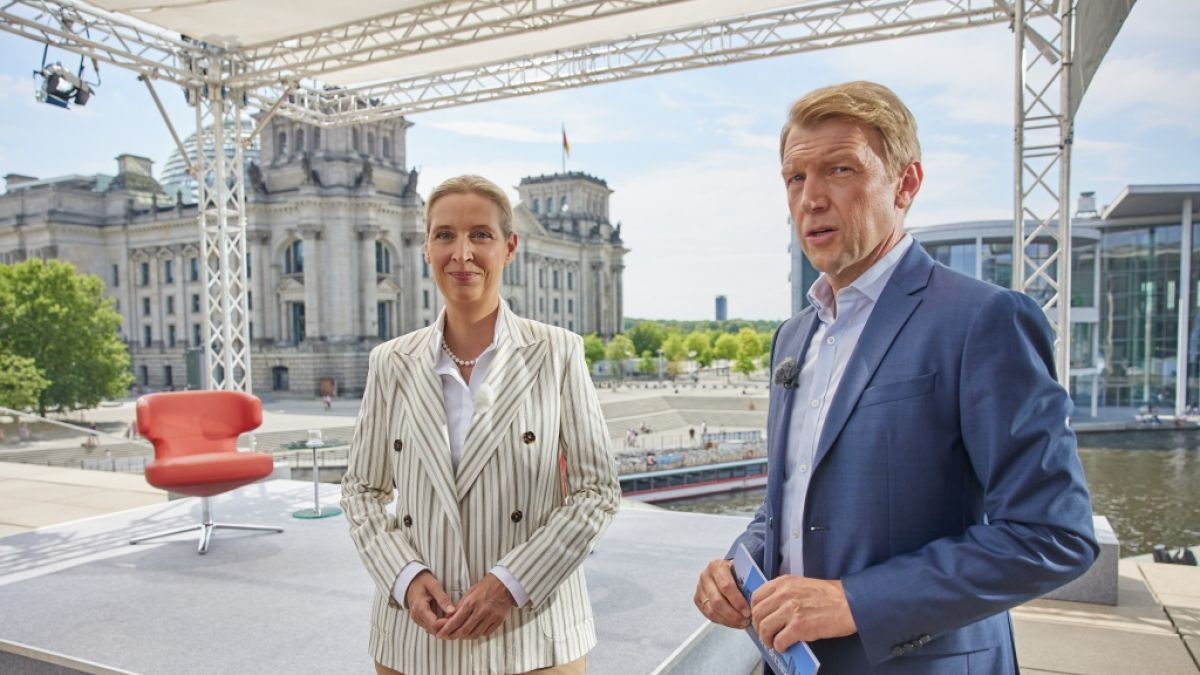 Alternative für Deutschland: Nach Weidel Schock ARD schraubt