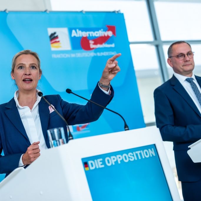 AfD knackt Umfrage-Rekord - CDU und CSU unter Druck
