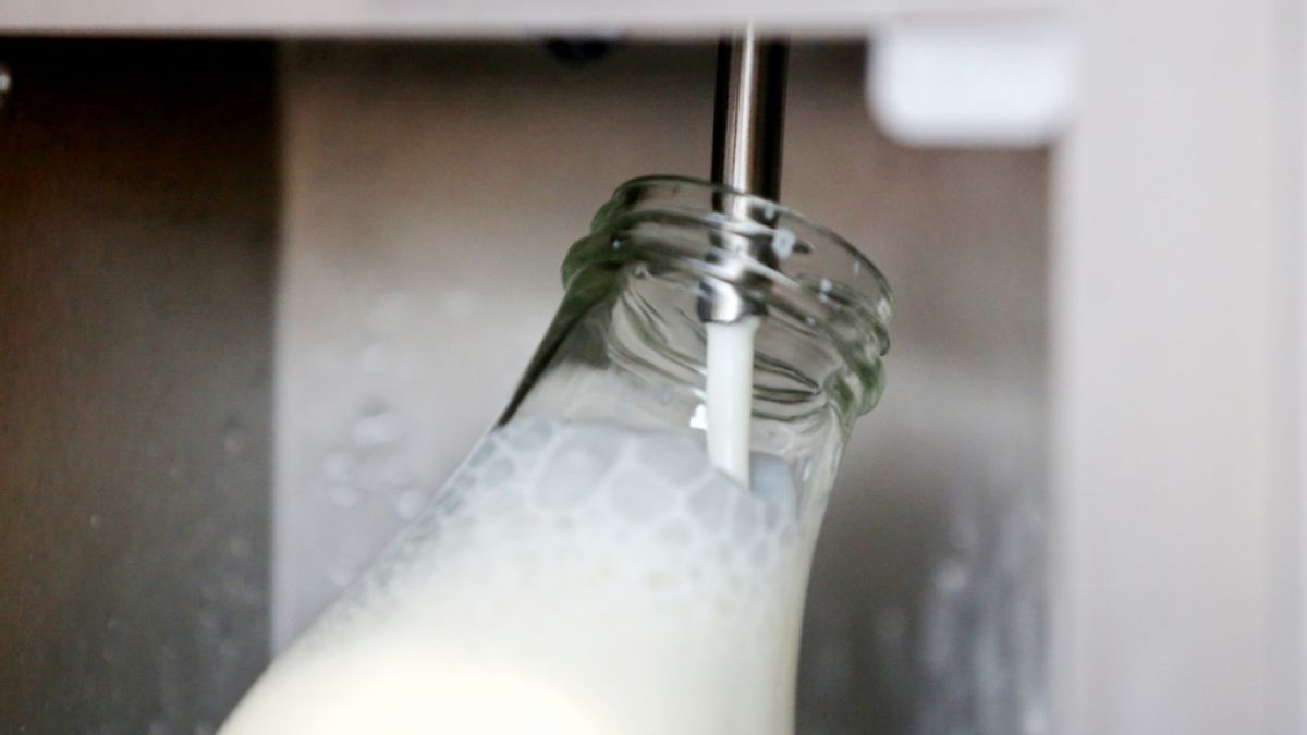 In den USA im Bundesstaat Florida sind 21 Menschen nach dem Verzehr von Rohmilch erkrankt. Nun wird vor den Risiken gewarnt. (Foto)