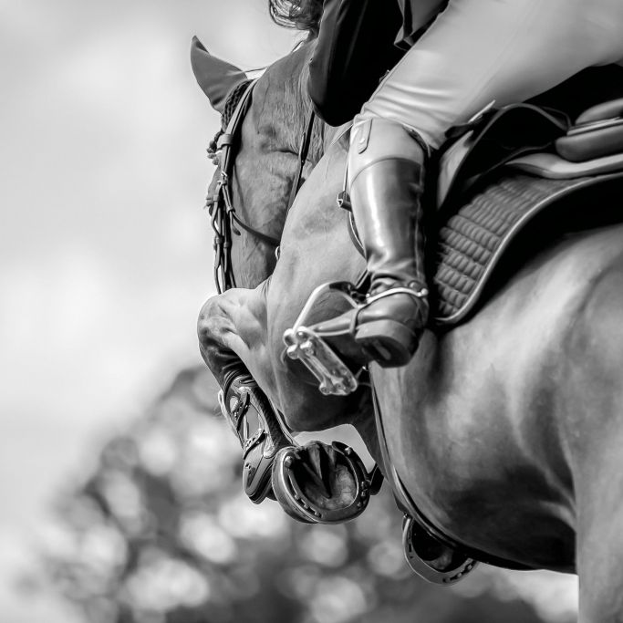 Reiterin (37) stirbt bei Turnier - Tochter wartet vergeblich auf Rückkehr