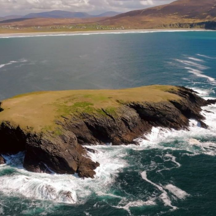 Wiederholung der Naturreihe online und im TV