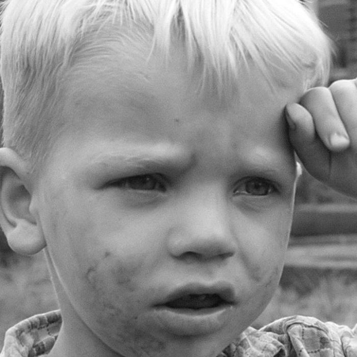 Wiederholung der Geschichtsdoku online und im TV