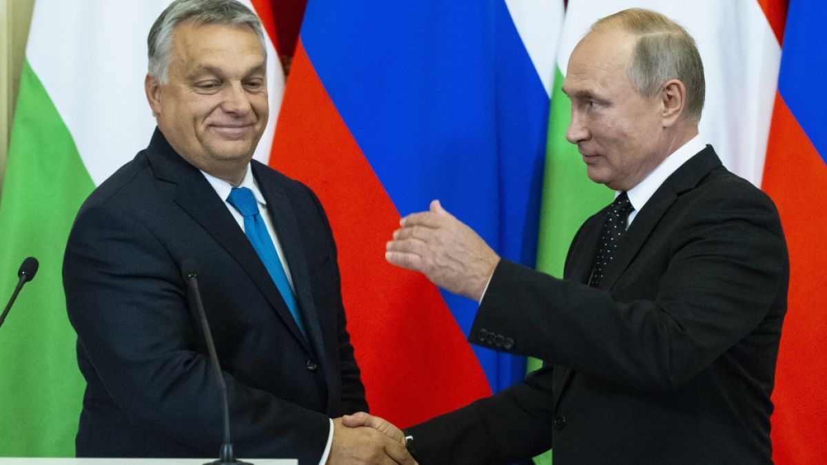 Zwei, die sich verstehen: Mit Kreml-Chef Wladimir Putin liegt der rechtsnationale Präsident Ungarns, Viktor Orban, auf einer Wellenlänge. (Foto)