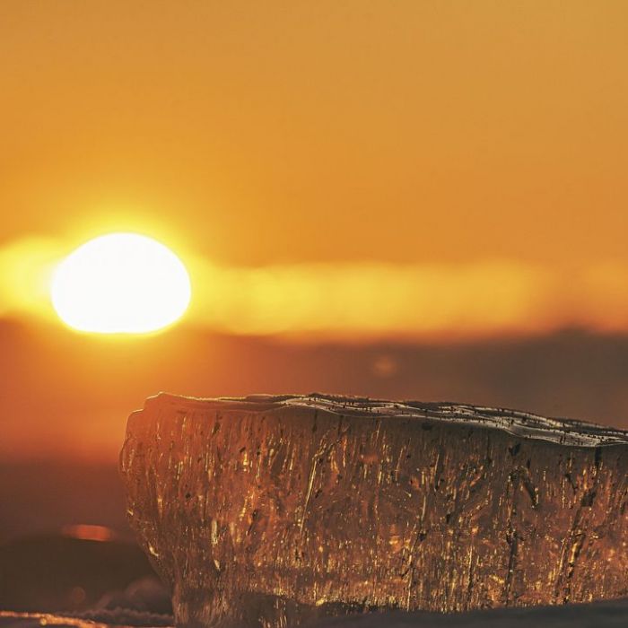 Wiederholung der Naturdoku im TV und online