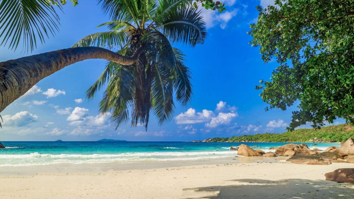 Traumstrände, die Sie kennen sollten bei MDR (Foto)