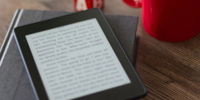 eBook-Piraterie