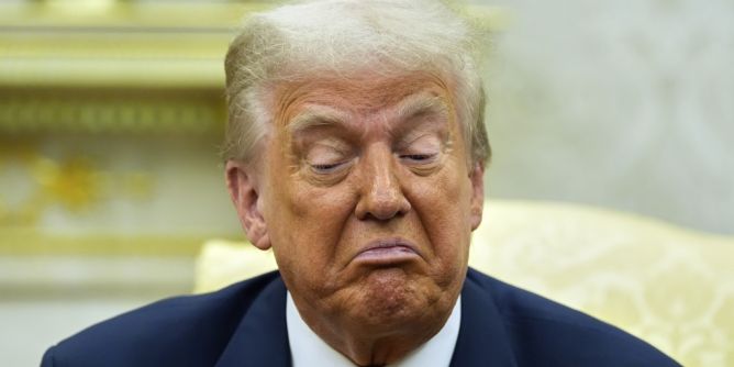 Orangefarbener Hai vor Costa Rica