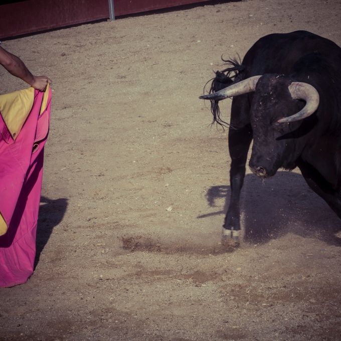XXL-Koloss spießt Stierkampf-Debütant (22) in Arena auf
