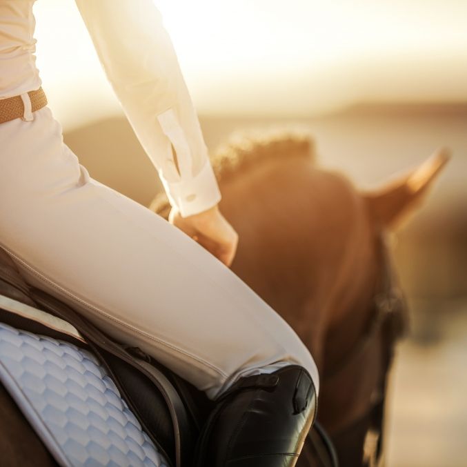 Mit Weltcup-Debütant Diallo: Kür-Sieg für von Bredow-Werndl