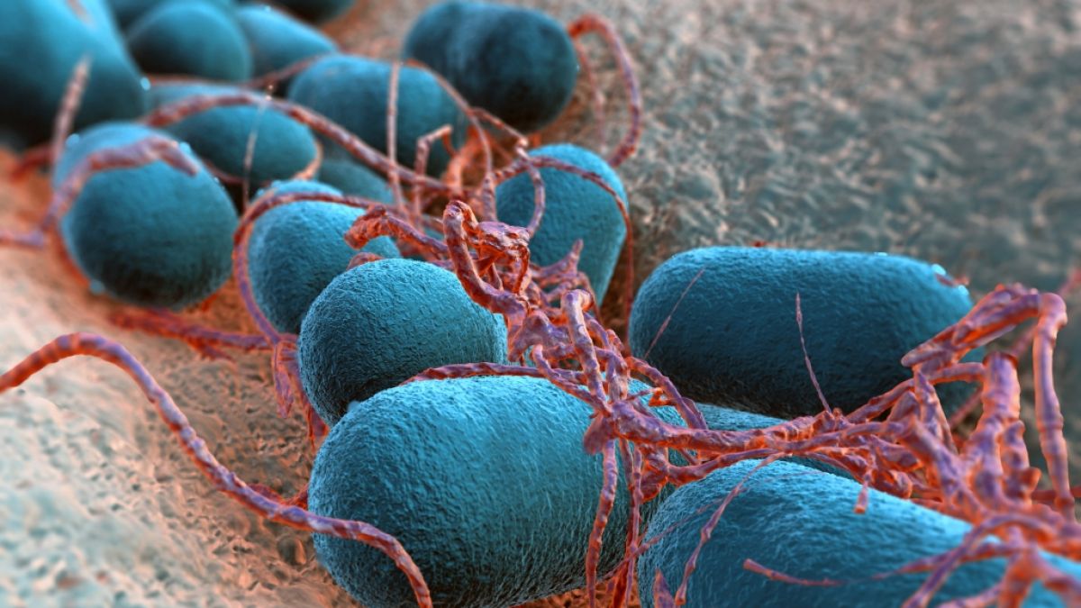 In einer Kita in Mecklenburg-Vorpommern gab es mehrere Ehec-Infektionen. (Foto)