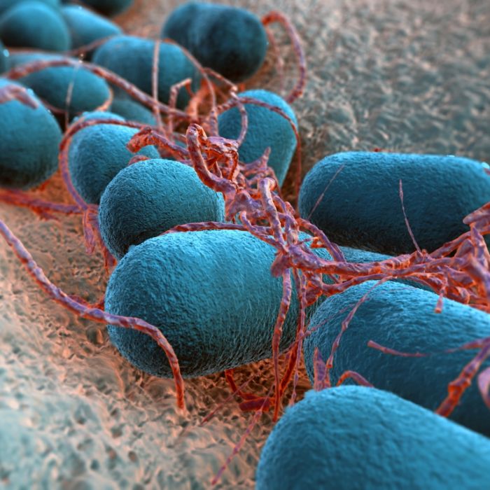 Wie hoch ist das Infektionsrisiko in Deutschland?