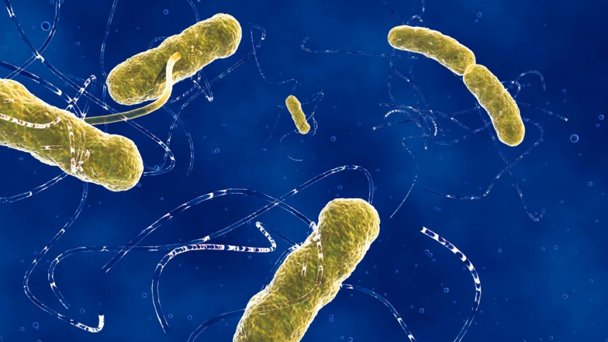 Ehec breitet sich derzeit in Deutschland aus. (Foto)