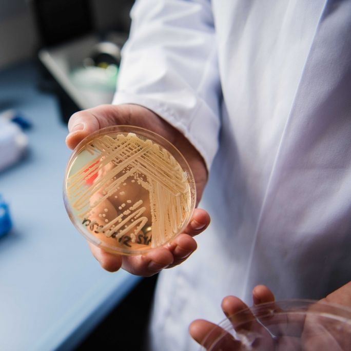 Tödlicher Erreger breitet sich aus - davor warnen Experten