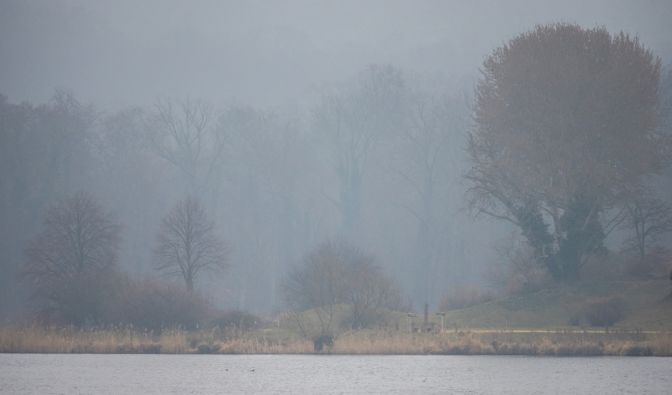 Der DWD hat eine Warnung vor Nebel herausgegeben (Symbolbild).