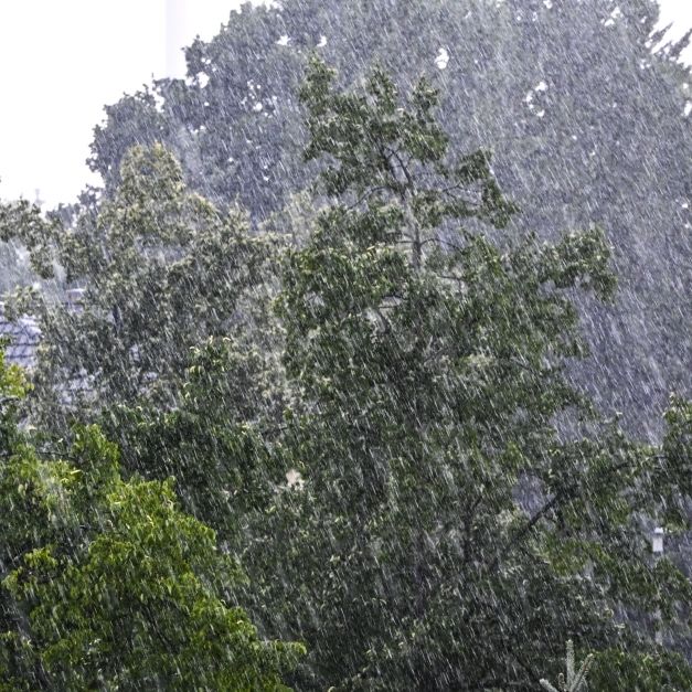 DWD warnt vor Starkregen