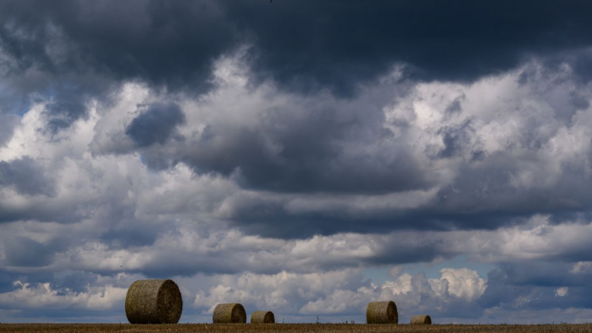 Der DWD hat eine Warnung vor Regen herausgegeben (Symbolbild). (Foto)