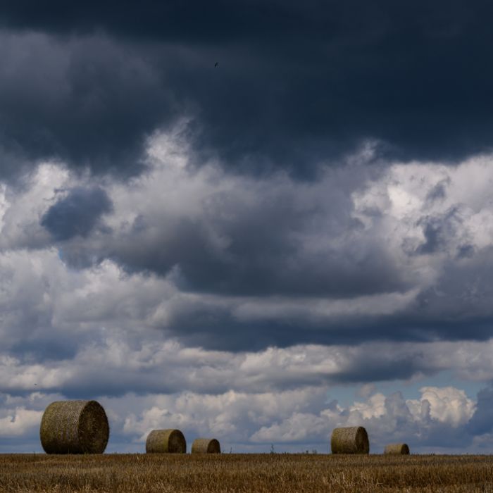 Starker Regen angekündigt - mehrere Gemeinden betroffen