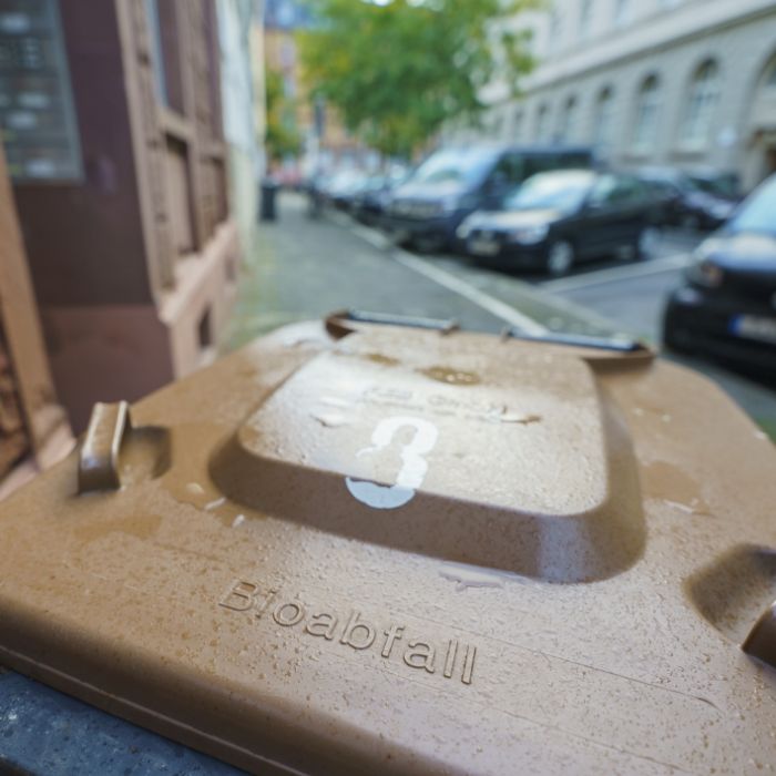 Stärkere Biomüll-Kontrollen ab heute - welche Strafen drohen?