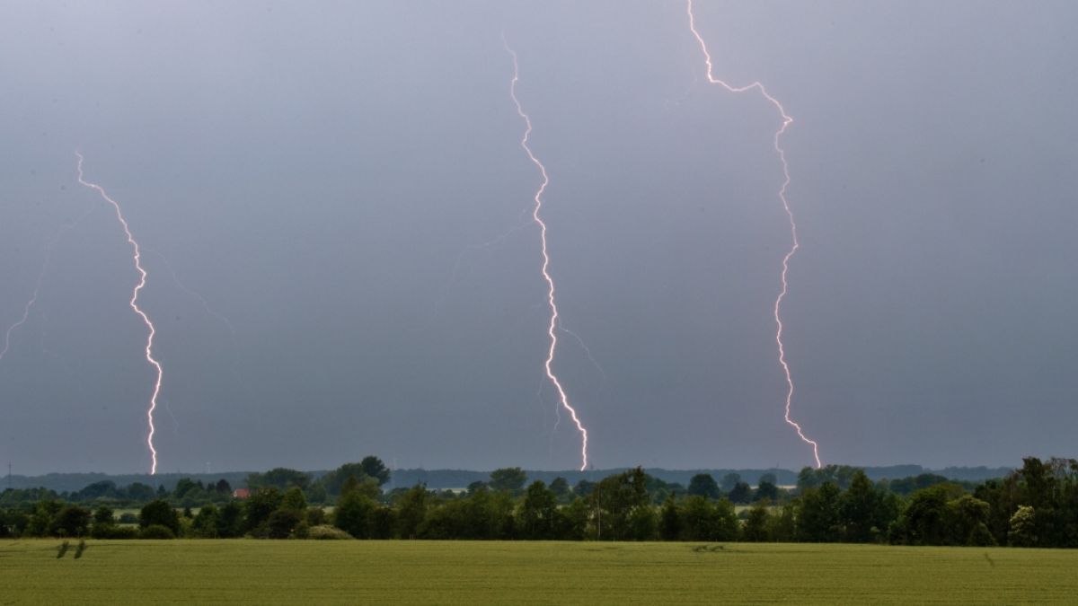 Der DWD hat eine Gewitter-Warnung herausgegeben (Symbolbild). (Foto)