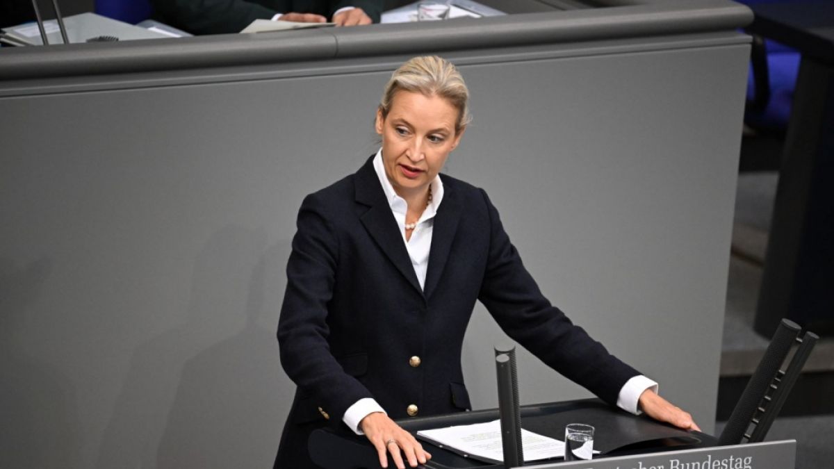 Alice Weidel greift die Bundesregierung zu Beginn ihrer Rede scharf an. (Foto)