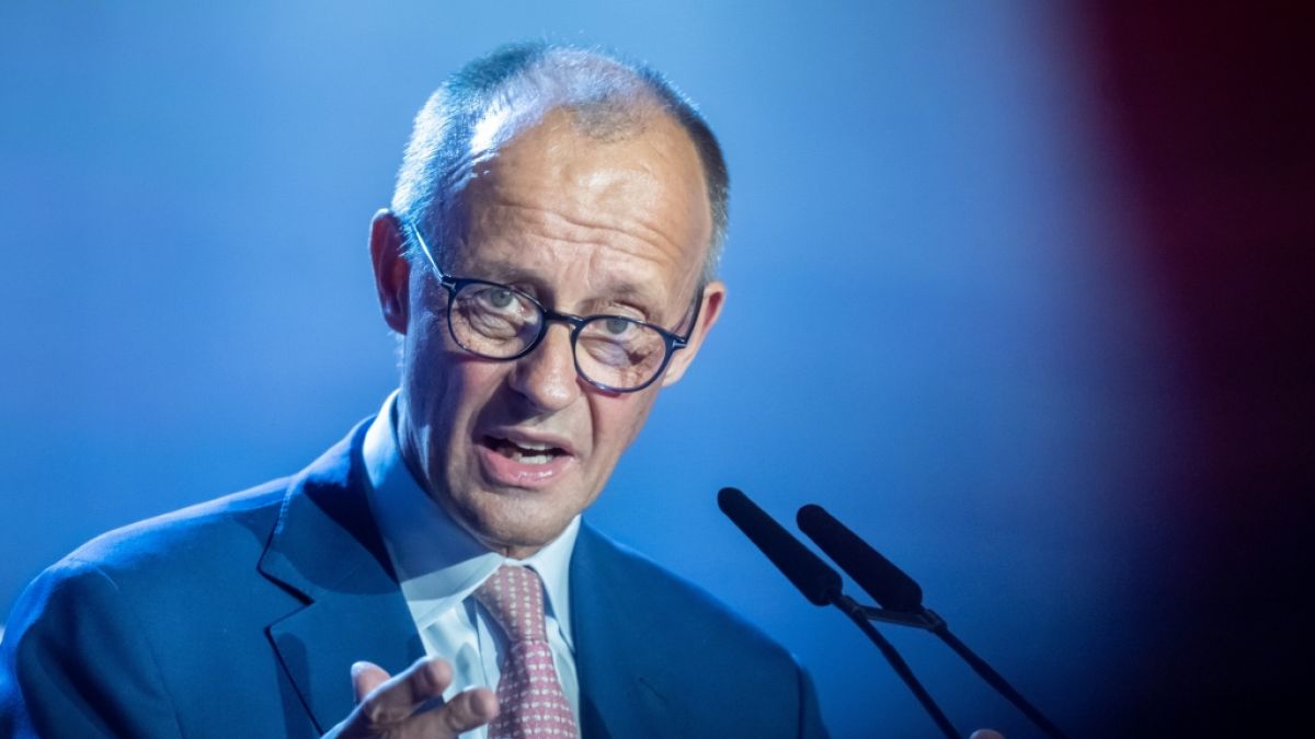 Friedrich Merz machte sich selbst zur Zielscheibe. (Foto)