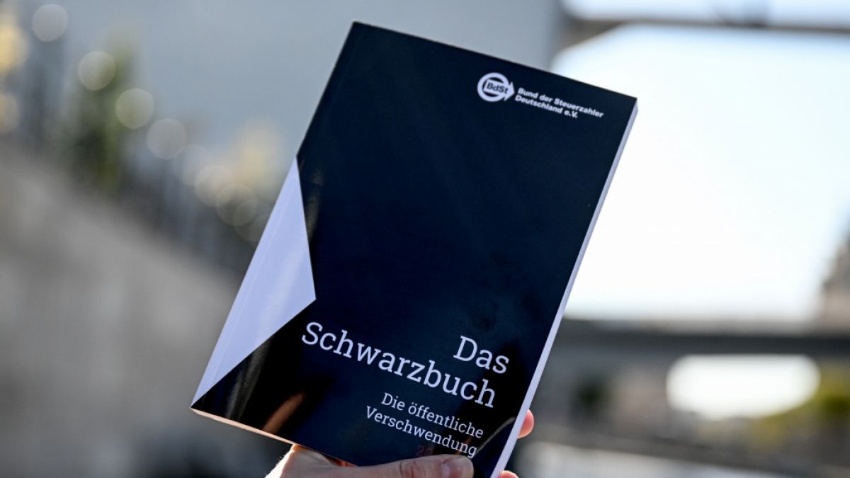 Das Schwarzbuch der Steuerzahler offenbar enorme Geldverschwendung in Deutschland. (Foto)