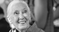 Schimpansen-Forscherin Jane Goodall ist mit 91 Jahren gestorben.